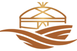 Namon logo